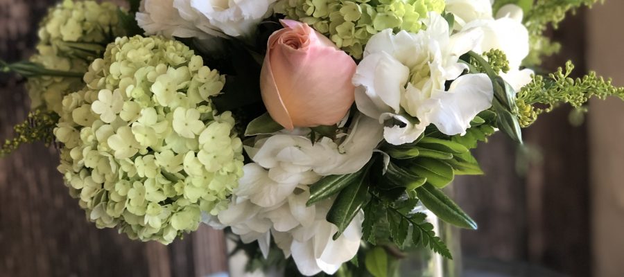 Client Spotlight: Pedy’s Petals