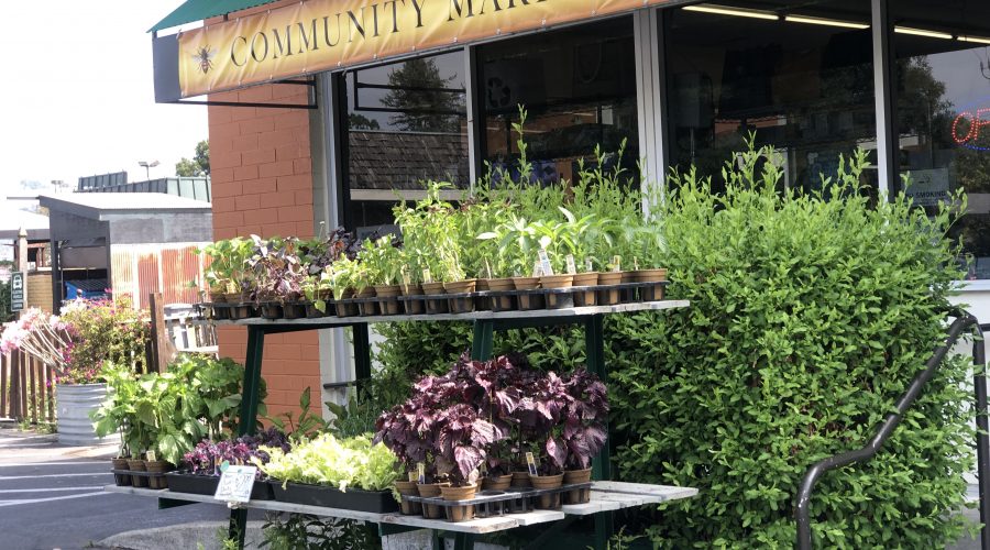 Client Spotlight: Community Market